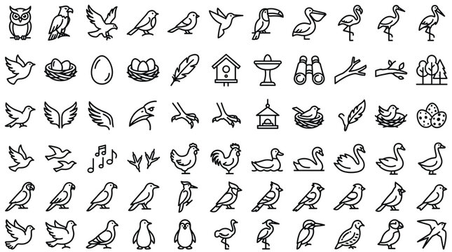 Large collection of minimalist bird line art icons set