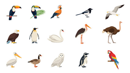 Fototapeta premium Global Wild Birds and Waterfowl Species Flat Vector Illustration Set