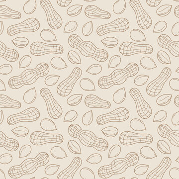 Peanut seamless pattern, hand drawn line art background with nuts in shell and kernels, vector linear texture for food packaging, bakery, wallpaper and fabric design