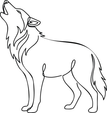 Single continuous line of a howling wolf, minimalist black outline of a wild canine looking up on a clean white background