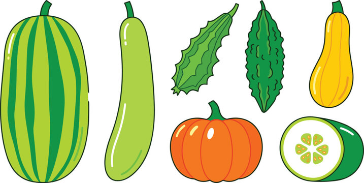  Fresh green and orange vegetables vector icon set featuring pumpkin bitter gourd squash and sliced zucchini