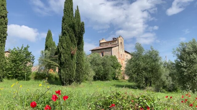 Toskana, Zypressen, Mohnblumen, Mittelalter, Italien, Urlaub