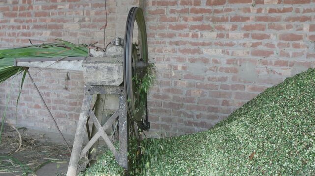 Traditional Fodder Chaff Cutter Machine Chopping Green Grass for Cattle Feed