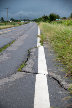 Cracked Asphalt Shoulder on a Rural Road with White Edge Line and Overgrown Grass