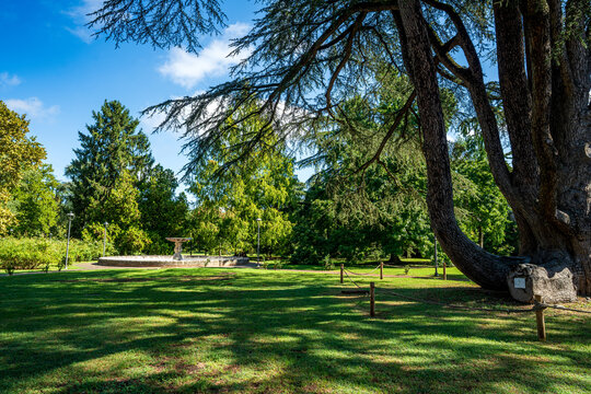 Parco Massari in Ferrara with large ancient tree and fountain