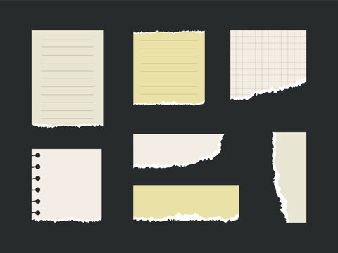Torn Paper Notes and Scrapbook Paper Pieces Set with Lined, Grid and Blank Vintage Sheets
