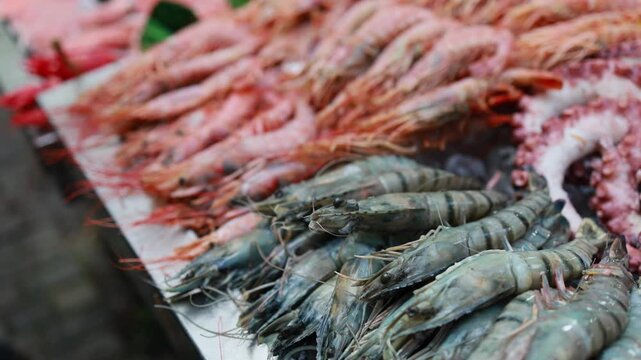 Fresh shrimp and octopus displayed on ice at seafood market stall. Raw prawns and crab arrangement at fish shop counter. Marine delicacy and healthy food concept.