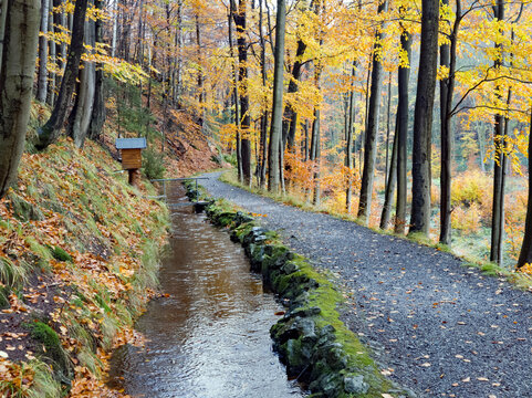 Wanderweg beim Radau-Wasserfall im Harz