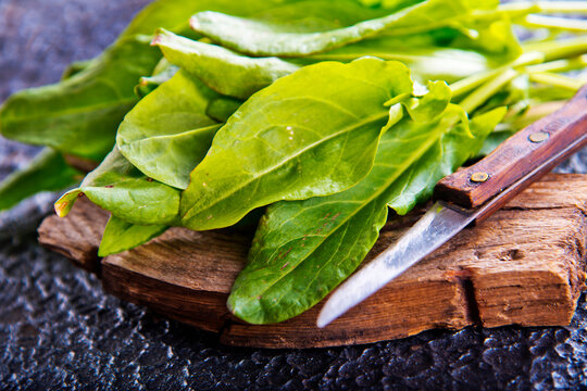 Sorrel. Bunch of fresh green organic sorrel leaf on a table