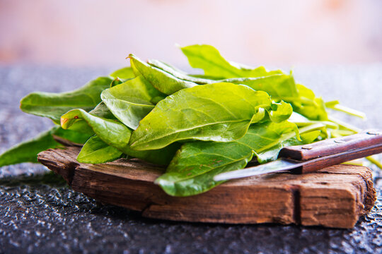 Sorrel. Bunch of fresh green organic sorrel leaf on a table