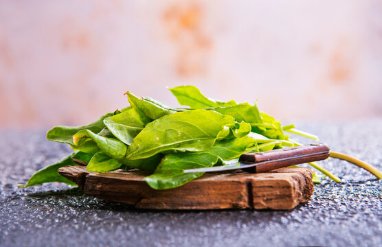 Sorrel. Bunch of fresh green organic sorrel leaf on a table