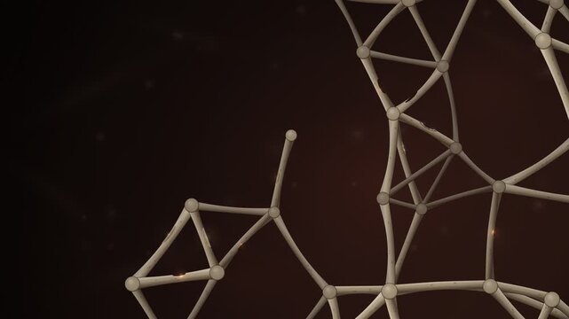 Bone Remodeling Cellular Cycle Microscopic Seamless Loop