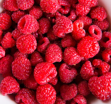 Raspberry background. Fresh berries. Raspberry fruits