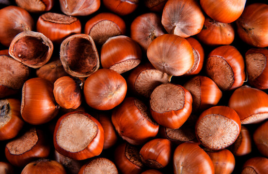Close up view of hazelnuts on a table
