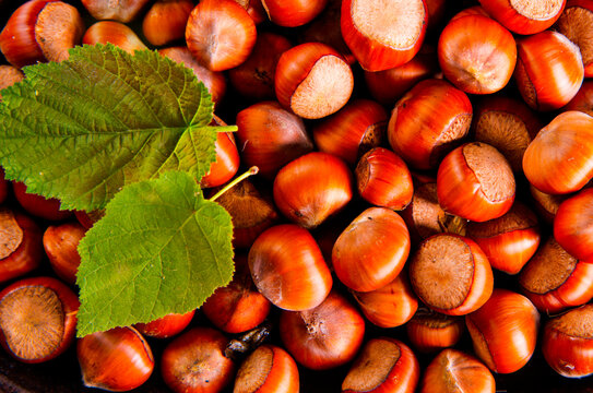 Close up view of hazelnuts on a table