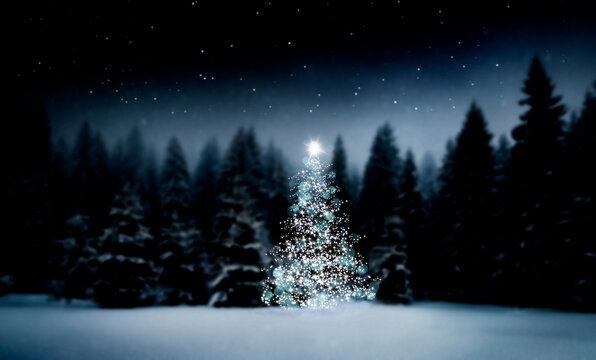 Weihnachtsbaum in einem verschneiten dunklen Tannenwald