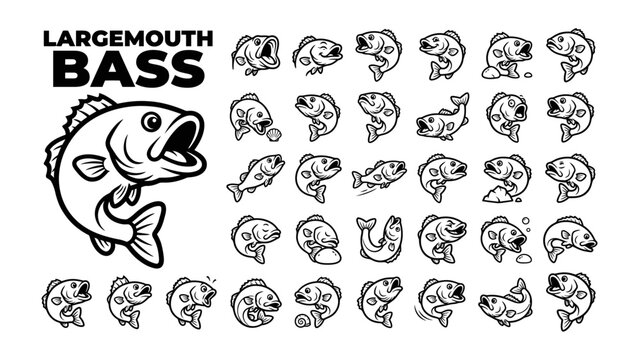 Largemouth Bass Illustration Set: A detailed collection of black and white illustrations showcasing a largemouth bass in various poses and expressions.