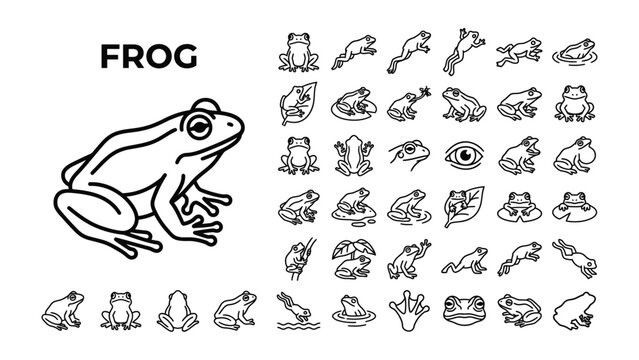 Set of Frog Icon: A collection of simple line art icons depicting a frog in various poses and activities, accompanied by a larger detailed illustration of a frog.