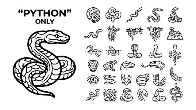 A Collection of Python Snake Illustrations: A detailed illustration of a coiled python snake on the left, alongside a diverse collection of smaller snake icons and symbols on the right.