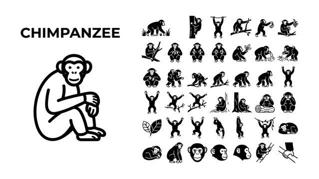 Chimpanzee Icons Set: A collection of minimalist black and white icons depicting various chimpanzee poses and activities, including sitting, swinging, and interacting with technology.