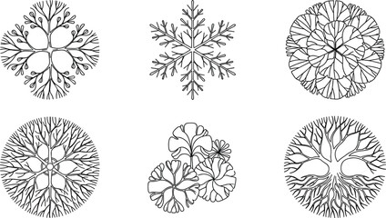 Obraz premium Snowflake and Mandala Line Drawing Set Black and White