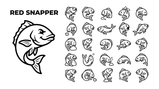 Red Snapper Illustration Collection: A detailed collection of hand-drawn illustrations depicting a red snapper fish in various poses and expressions, perfect for educational or decorative use.