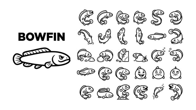 Bowfin Fish Illustrations: A collection of playful hand-drawn cartoon illustrations depicting the bowfin fish in various poses and expressions, perfect for educational or whimsical use.