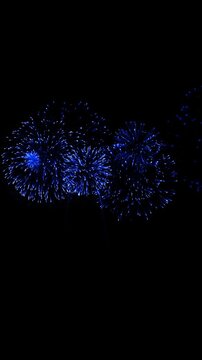 Multiple blue aerial fireworks launching and bursting simultaneously in night sky