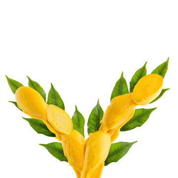 Mango puree blast shooting up in v shape carrying halved fruit and thick pulp strands isolated