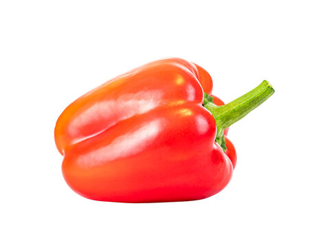Red bell pepper (Capsicum annuum) isolated on a plain background. Sweet pepper/paprika. Red vegetable. Healthy food. Suitable for mockups. Trade and agriculture. PNG image.