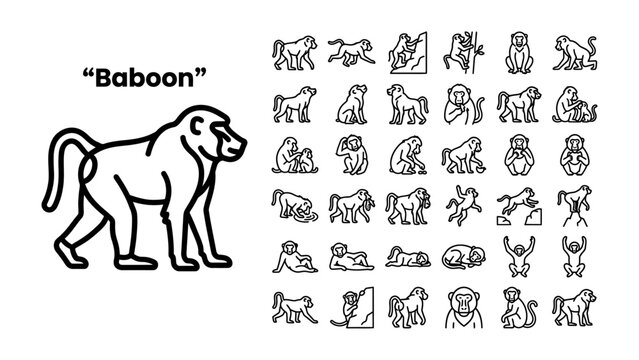 Baboon Icon Set: A comprehensive collection of stylized line art icons showcasing various poses and activities of a baboon, perfect for graphic design and educational use.