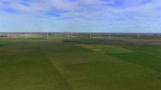 Wind turbine array across extensive agricultural fields in Buenos Aires Province, with large cultivated plots and flat Pampas terrain, renewable energy integrated with farming, drone forward flyover