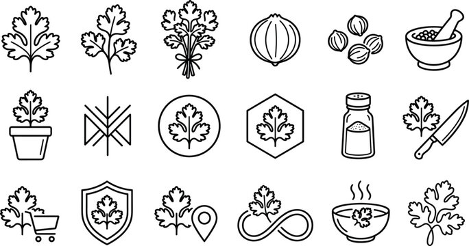 Coriander icon set featuring cilantro leaves organic herbs spices mortar knife bowl line art vectors for culinary branding website designs