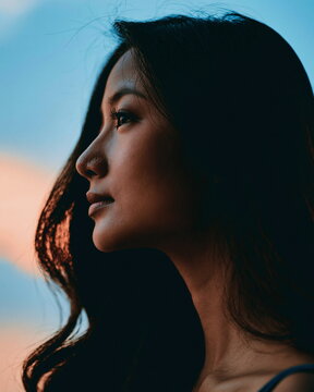 Silhouette of a Lone Adventurer Gazing at Distant Mountains Under a Golden Sunset