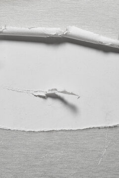 Torn paper edge  on a gray paper  background. Black and white image