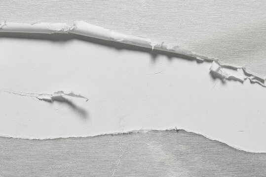 Torn paper edge  on a gray paper  background. Black and white image