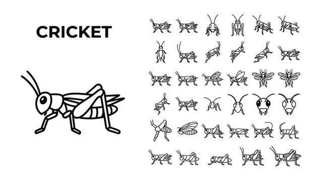 Cricket Collection: A black and white illustration showcasing a variety of cricket poses and details, from a central large depiction to smaller, diverse representations.