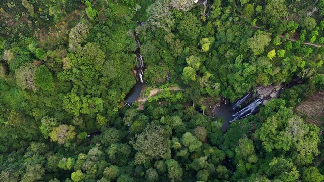 Aerial View Of Sekumpul And Lemukih Waterfalls In Sawan District Of The Buleleng Regency In North Bali, Indonesia.