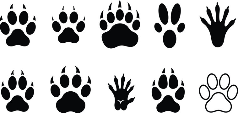 Animal paw prints vector set with bear wolf dog and cat tracks silhouettes isolated on white background
