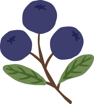 cute blueberry fruit vector cartoon illustration
