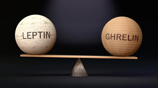 Leptin and Ghrelin in balance - balancing spheres on a scale symbolizing harmony, equity and equilibrium between leptin and ghrelin. Harmonious and beneficial situation. Made by human for humans