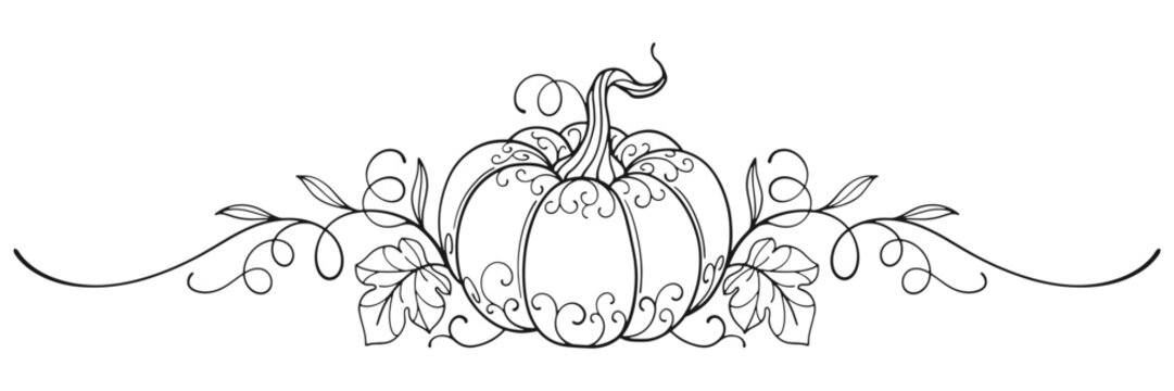Pumpkin line art style vector illustration
