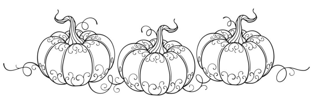 Pumpkin line art style vector illustration