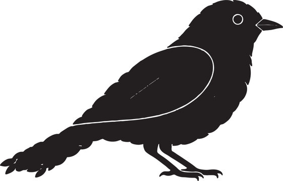 Black bird silhouette with elongated tail and clear eye vector illustration long tail silhouette illustration wildlife isolated minimalist songbird creature outdoors blackbird