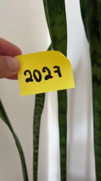 Hand holding 2027 sticky note near snake plant home decor