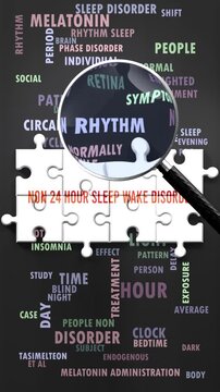 Non 24 Hour Sleep Wake Disorder under magnifying glass, being researched, studied and examined. Most important subjects and ideas closely related to non 24 hour sleep wake disorder written around a pu