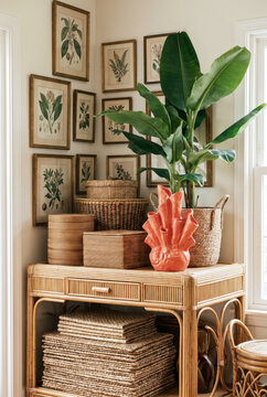 Lush tropical corner with rattan side table, coral sculpture, banana plant and botanical prints