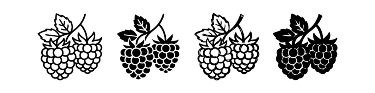 Set of raspberry or blackberry fruit icons in outline, doodle, and silhouette styles, isolated on a white background.