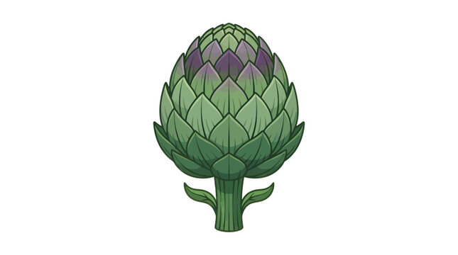 Artichoke vegetable illustration