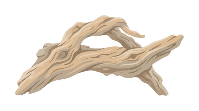 Twisted driftwood formation with natural curves